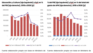 El gobierno bajó a la mitad el presupuesto educativo en dos años