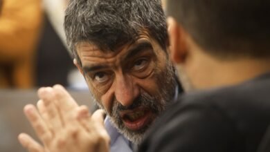 Afirman que Milei firmó un contrato para que Cerimedo hiciera lobby libertario en EEUU y el acuerdo sigue vigente