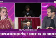 "Atrás del fracaso del Senado, hubo un ajuste de cuentas al interior del Gobierno"