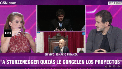"Atrás del fracaso del Senado, hubo un ajuste de cuentas al interior del Gobierno"