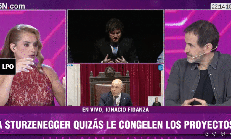 "Atrás del fracaso del Senado, hubo un ajuste de cuentas al interior del Gobierno"