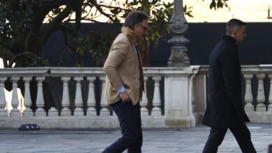 El senador Benegas Lynch, muy cercano a Milei, armó una sociedad para venderle tierras a extranjeros