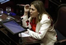 Jaldo anunció que la senadora Ávila votará en contra de la ley de tierras y el gobierno pierde un voto clave