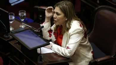 Jaldo anunció que la senadora Ávila votará en contra de la ley de tierras y el gobierno pierde un voto clave