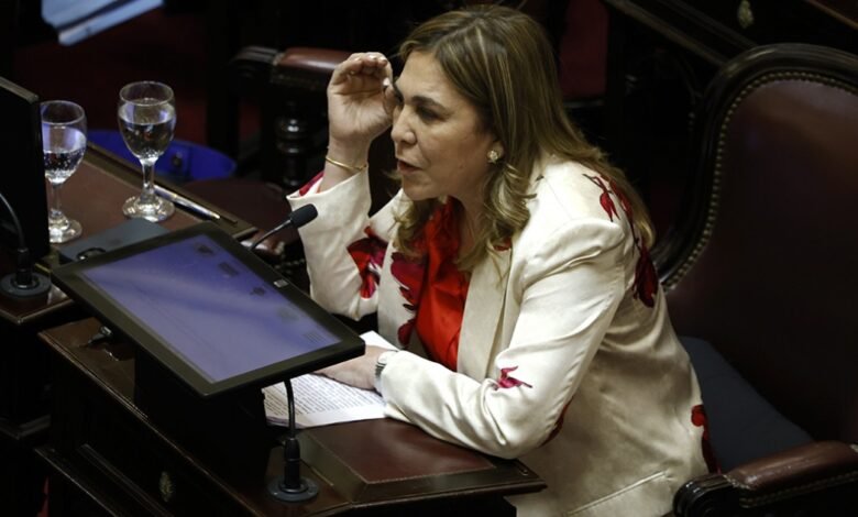 Jaldo anunció que la senadora Ávila votará en contra de la ley de tierras y el gobierno pierde un voto clave