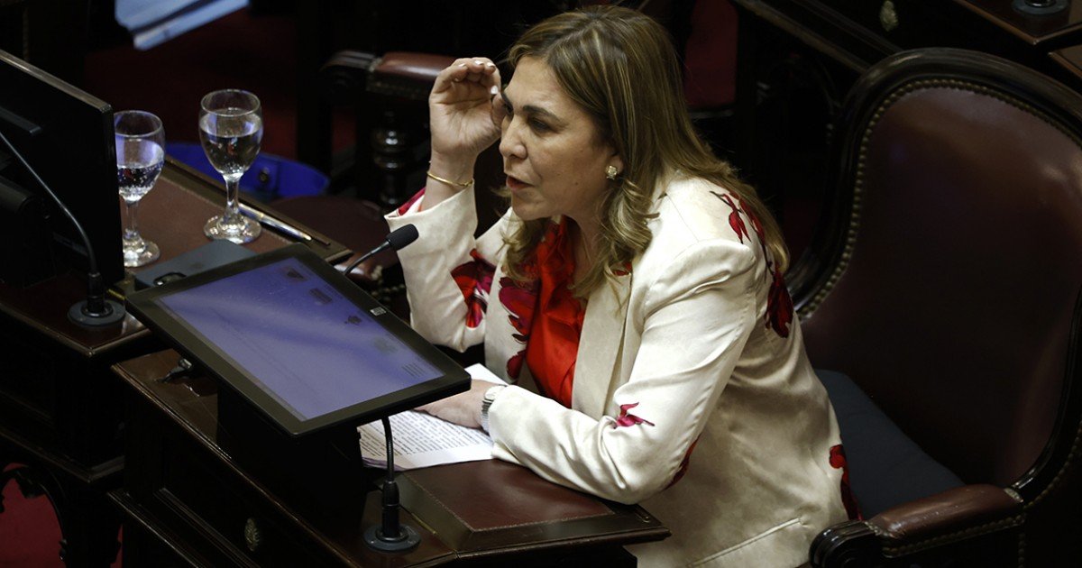 Jaldo anunció que la senadora Ávila votará en contra de la ley de tierras y el gobierno pierde un voto clave