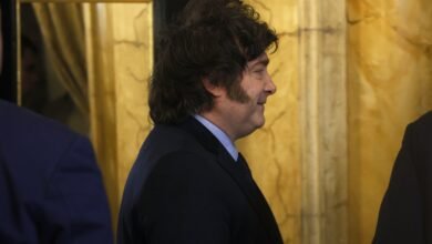 Milei publicó insultos horribles contra Bonelli y Nelson Castro advirtió: "Tiene un problema psiquiátrico"