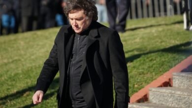 Milei y Lemoine respaldaron a Cerimedo y hay desconcierto entre los libertarios