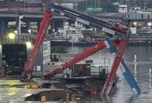 Se derrumbó una grúa de Exolgan y complica la operación del puerto de Buenos Aires