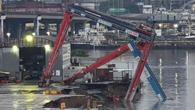 Se derrumbó una grúa de Exolgan y complica la operación del puerto de Buenos Aires