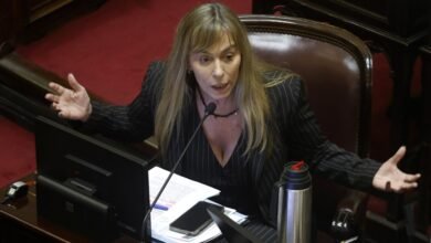 Di Tullio cruzó a Mayra y dijo que Cristina no está peleada con Axel