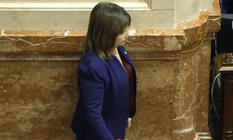 Patricia vuelve a desafiar a Milei y dice que lo importante es que "el proyecto reelija"