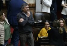 El gobierno logró salvar el DNU de tierras con apoyo de Jaldo, Pullaro y Sadir