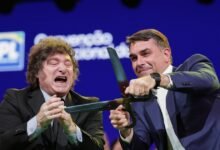 Milei eufórico por el triunfo de Bolsonaro: "Esto lo armamos con Trump"
