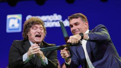 Milei eufórico por el triunfo de Bolsonaro: "Esto lo armamos con Trump"